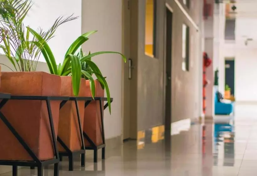 ホテル Victoria Plaza Millenium