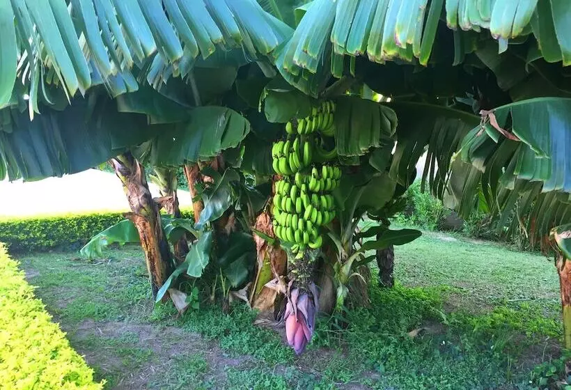 Los Jazmines Hotel Resort