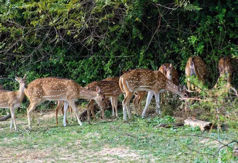 Pension Silent River Cottage