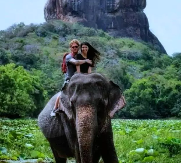 Pension Silent River Cottage