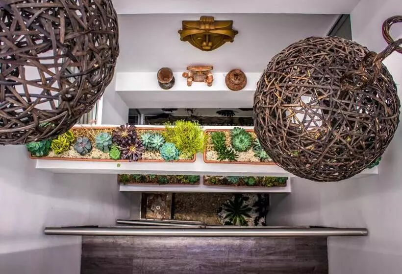 Hotelli San Blass Boutique