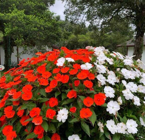 بنسيون Chalés Cinco Estrelas