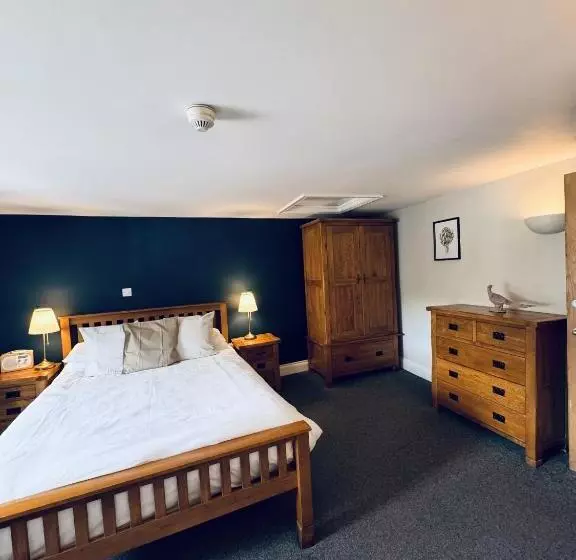 Bed and Breakfast The Swan