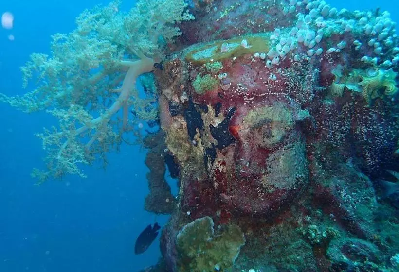 Majatalo Prisida Guest House