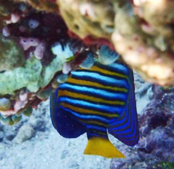 펜션 Prisida Guest House