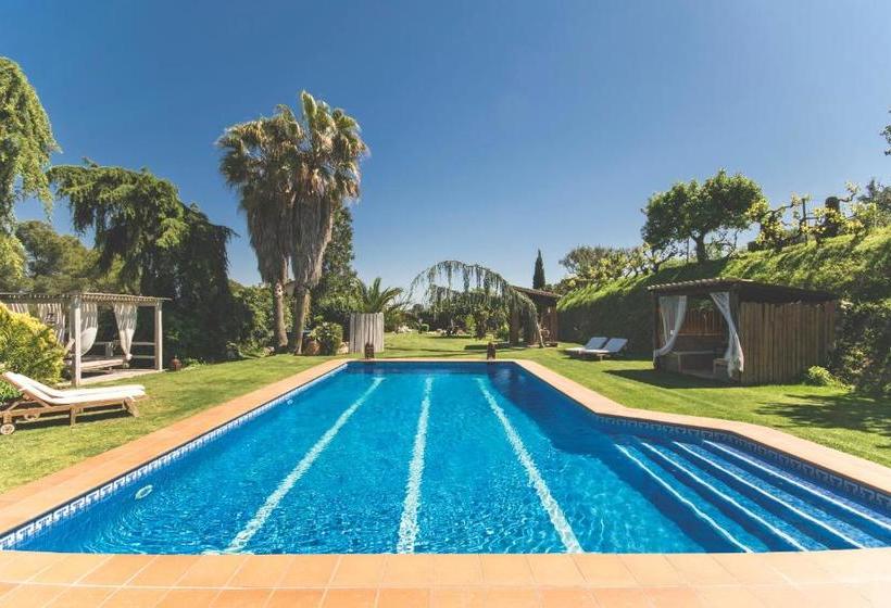 تختخواب و صبحانه Can Caponet