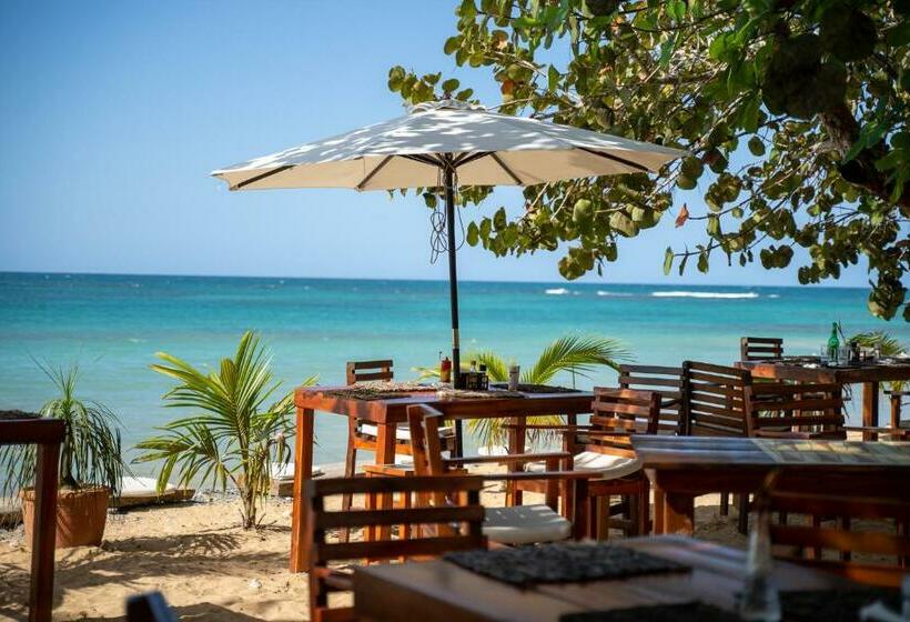 هاستل Afreeka Beach