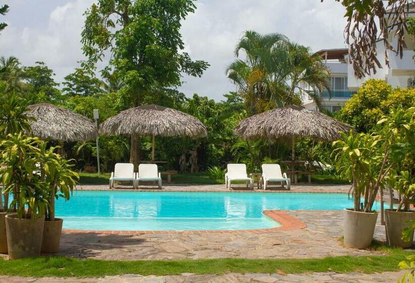 هاستل Afreeka Beach