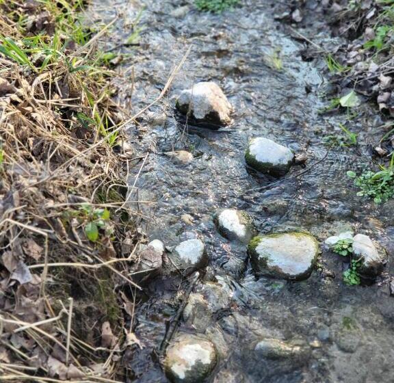 بنسيون A Casa Di Luca