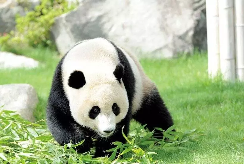 Majatalo Guesthouse Irieyado