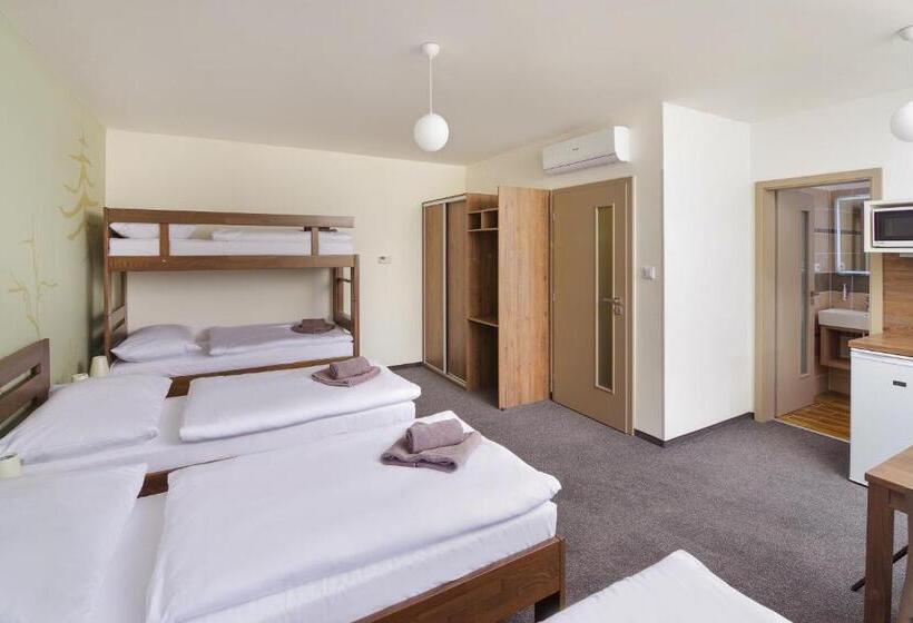 פנסיון Penzion Lesni