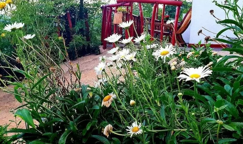Bed & Breakfast Adannz View