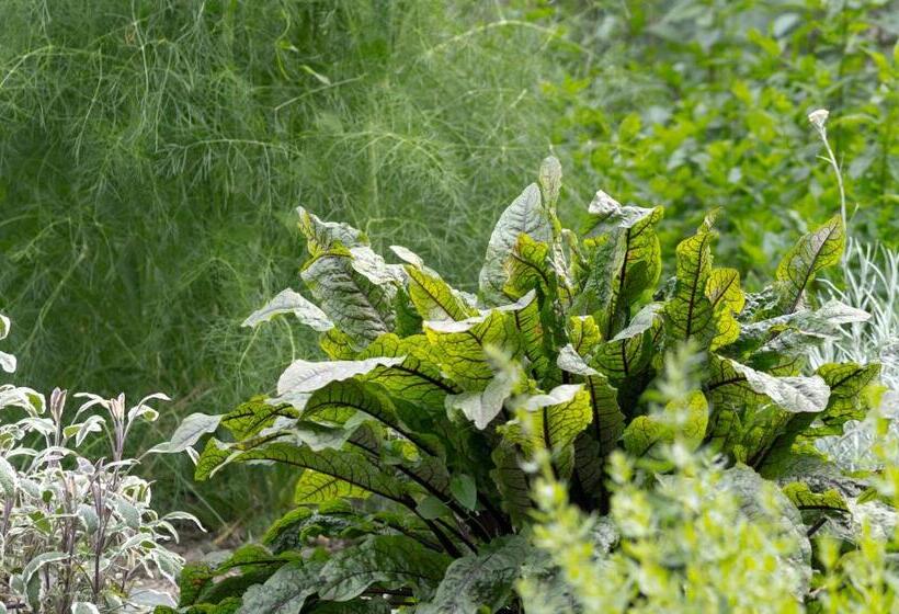 Bed and Breakfast Le Relais