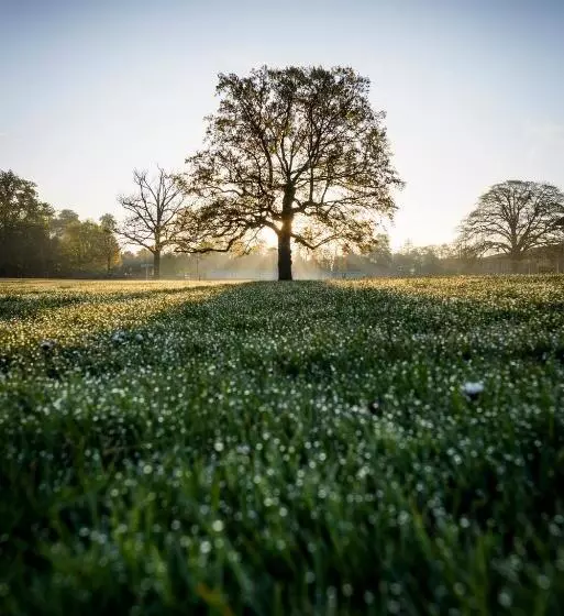 Hinxton Hall Hotel And Conference Centre