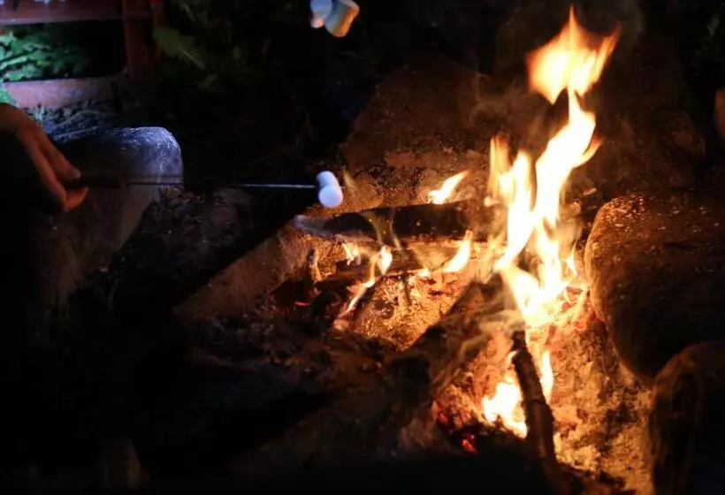 ペンション 阿蘇び心 Asobi Gokoro