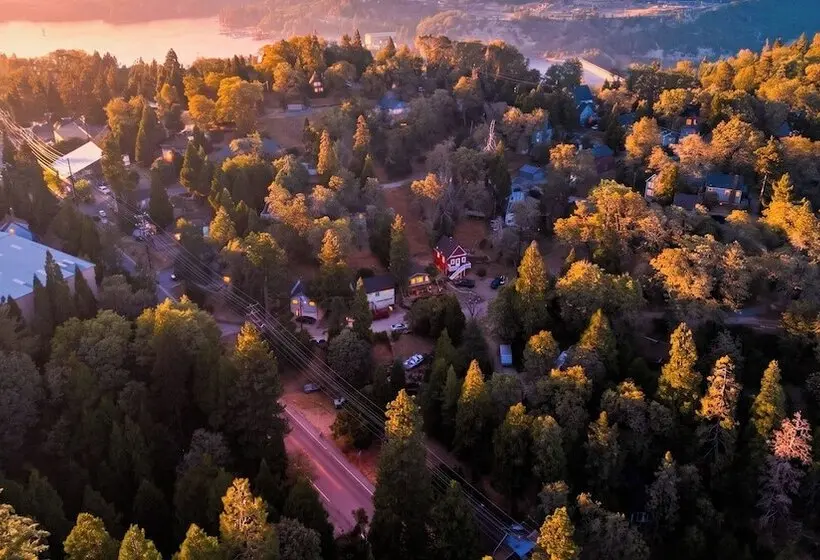 Whispering Pines By Avantstay Pine View Cabin Trail Access + Game Room + Fire Pit
