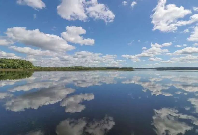 Luxe Bayfront Cabin W/ Stunning Views & Shared Dock  Ideal For Hunting & Fishing