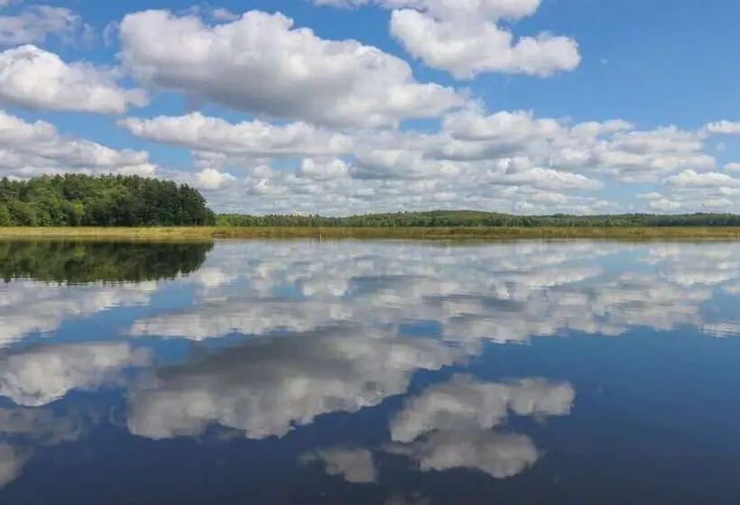 Luxe Bayfront Cabin W/ Stunning Views & Shared Dock  Ideal For Hunting & Fishing