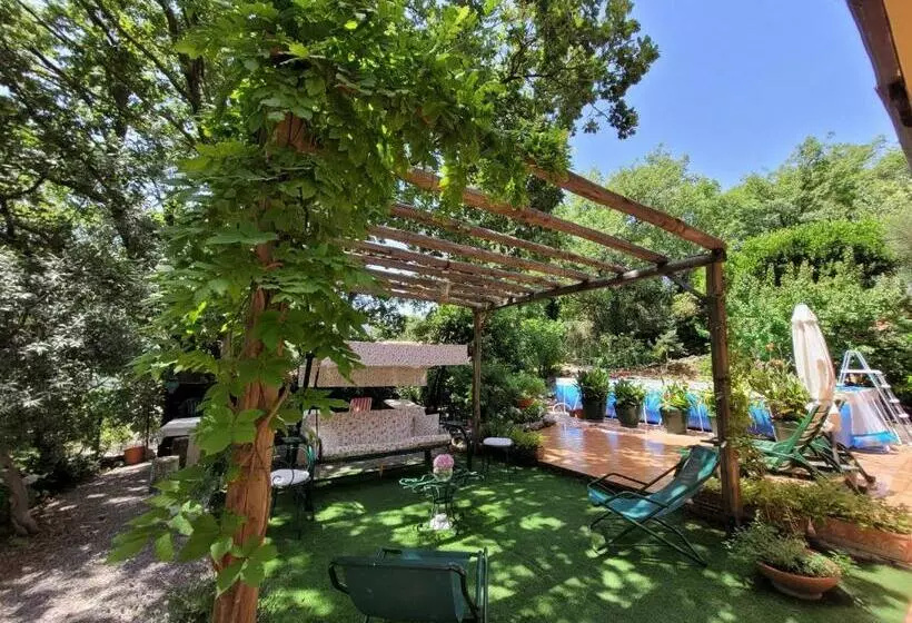 تختخواب و صبحانه Hassin Cottage