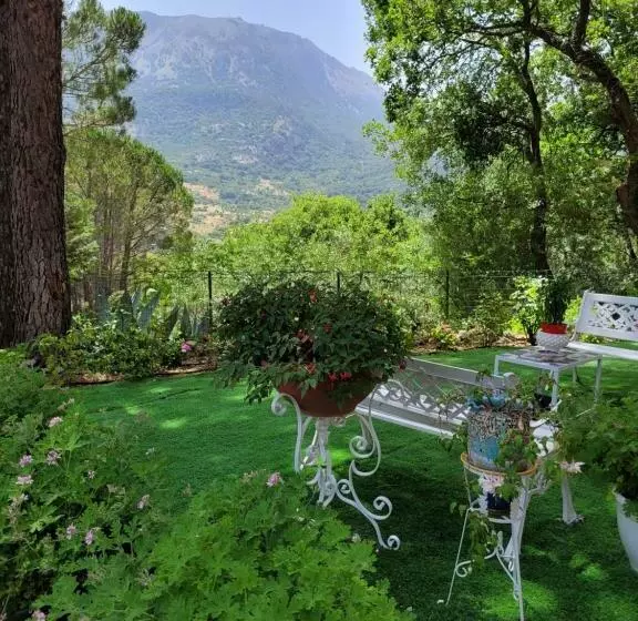 تختخواب و صبحانه Hassin Cottage