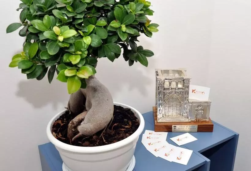 تختخواب و صبحانه Kalurya