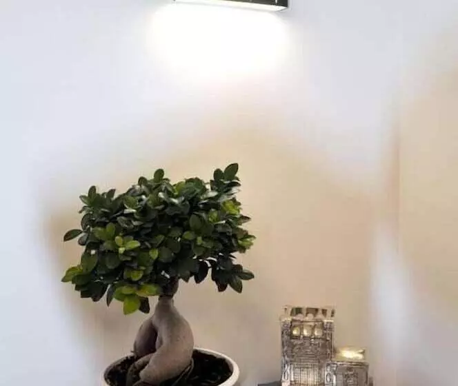 تختخواب و صبحانه Kalurya