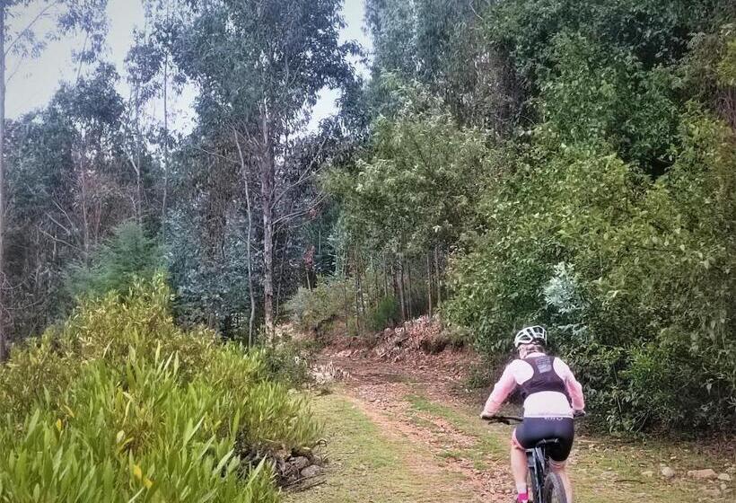 Departamentos Bellavista La Alborada Huaraz