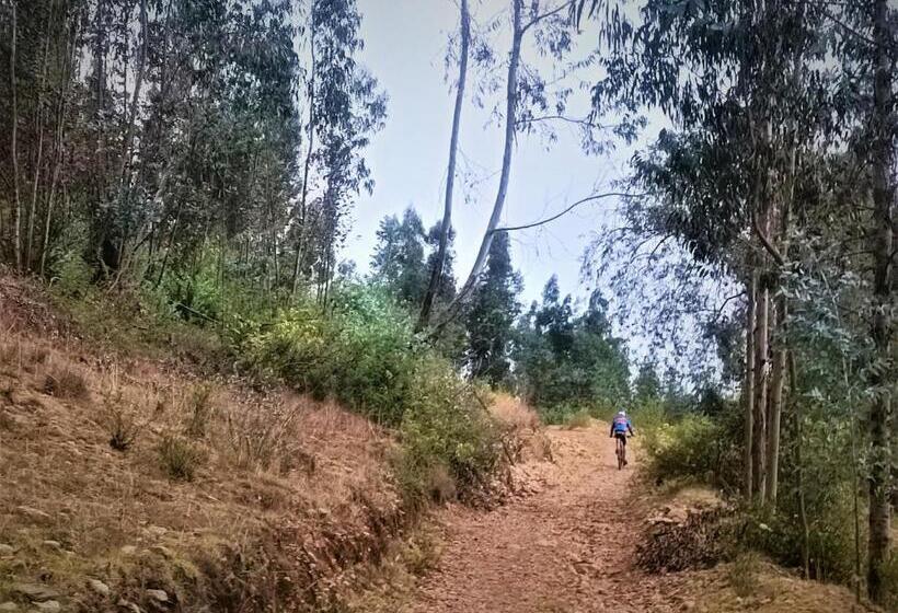 Departamentos Bellavista La Alborada Huaraz