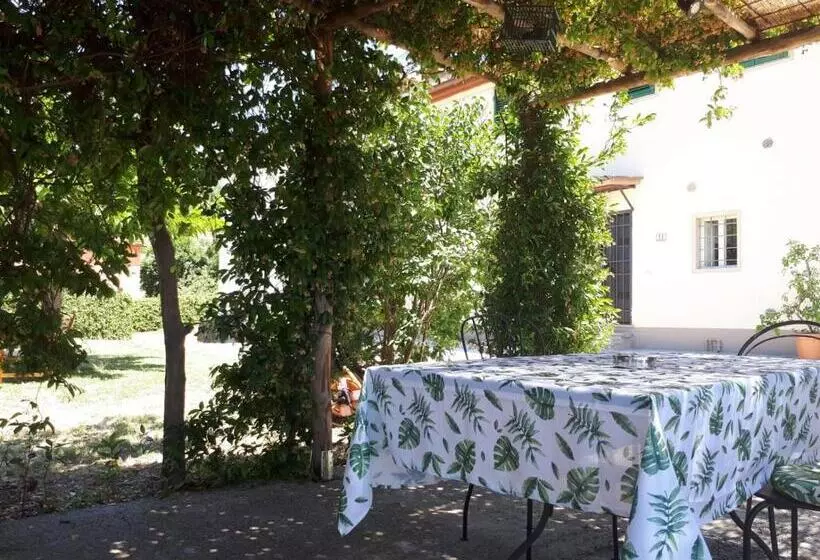 هتل Casa Il Brio