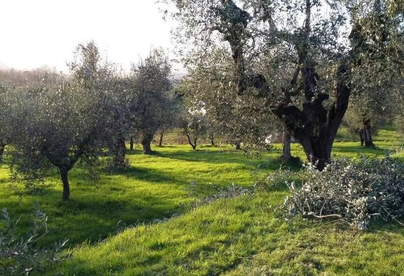 هتل Casa Il Brio