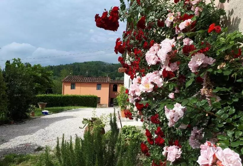 هتل Casa Il Brio