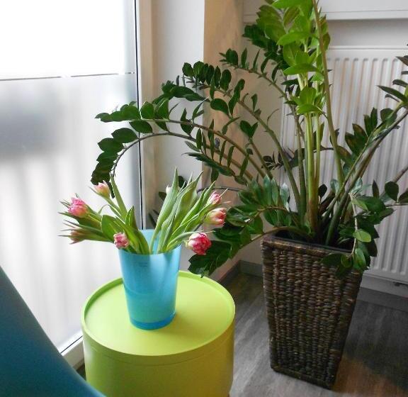 فندق M24 Alle Zimmer Mit Küchenzeile