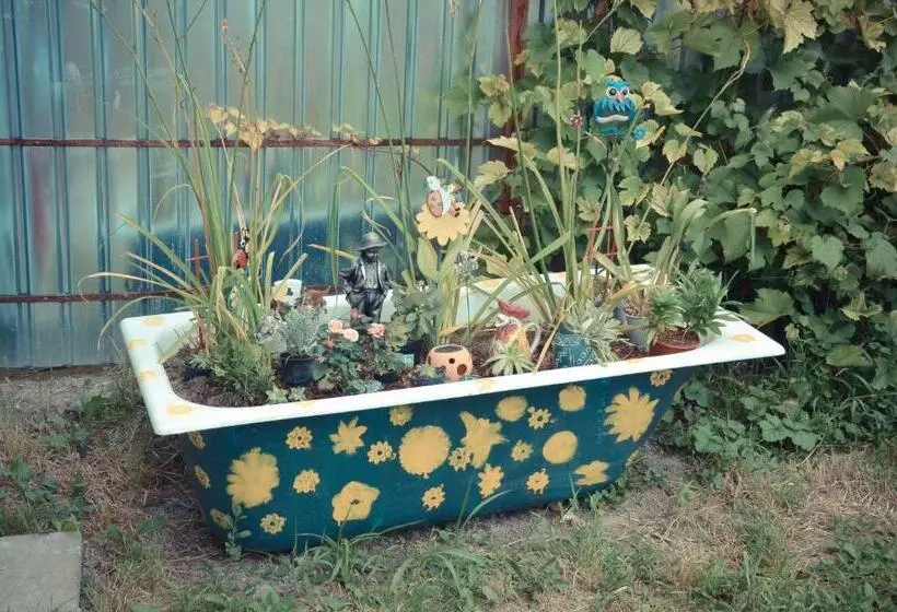 پانسیون Noira House