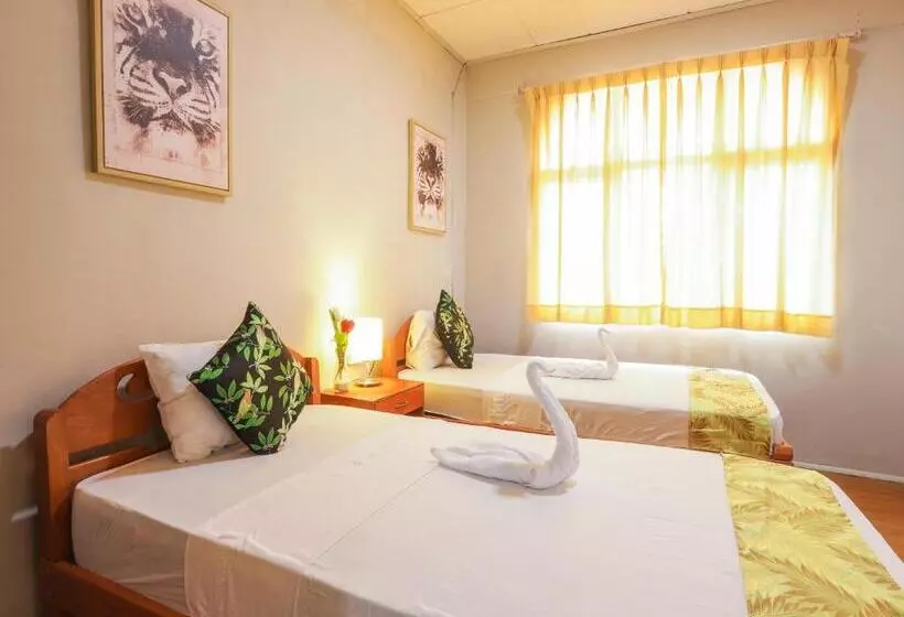 Hotel Daylu