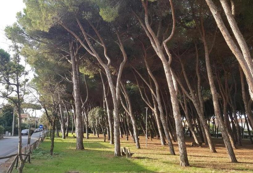 בית מלון כפרי La Locanda Di Gioele