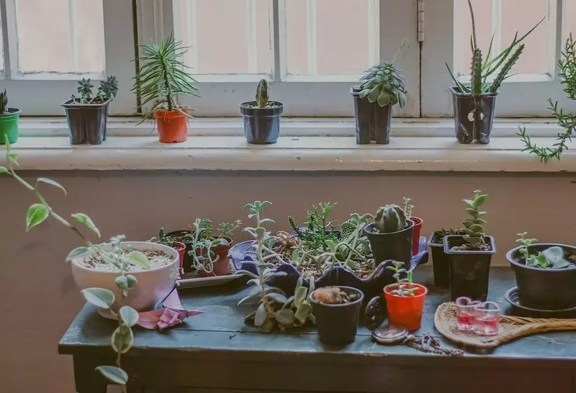 Vila Santa Eulalia Hostel