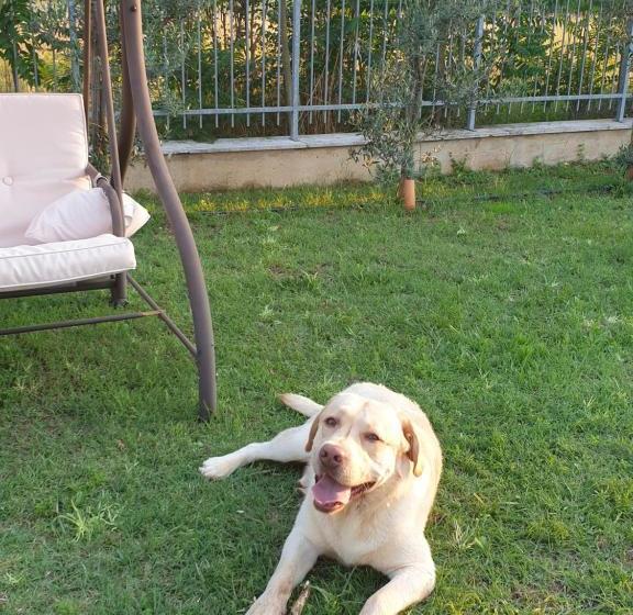 ベッドアンドブレックファースト Il Rifugio Del Tempo