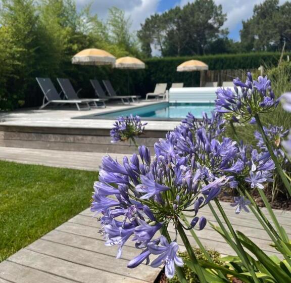 住宿加早餐 La Cabane Du Ferret