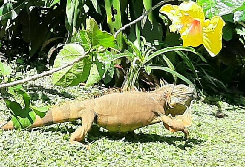 Marita S Bed And Breakfast