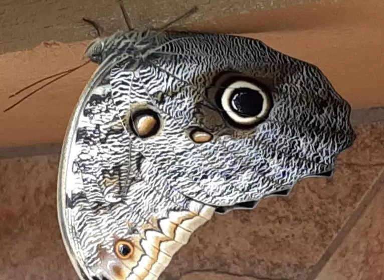 Marita S Bed And Breakfast