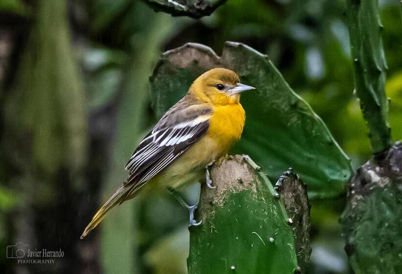 Marita S Bed And Breakfast