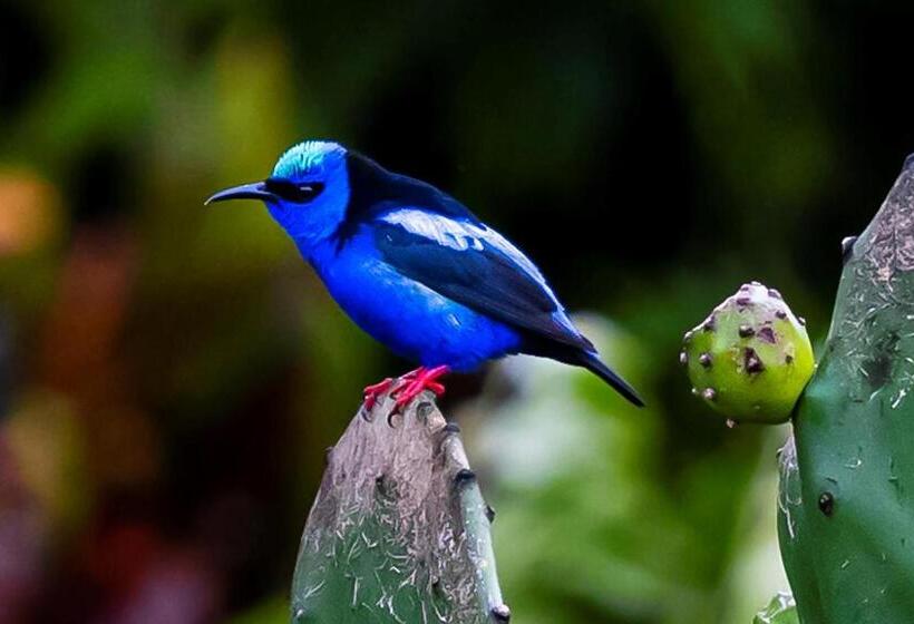 Marita S Bed And Breakfast