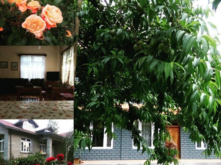 Bed and Breakfast Denzong House