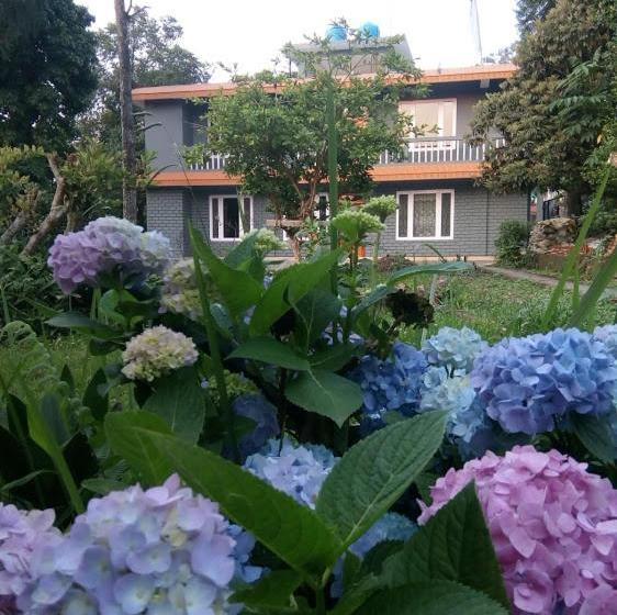 Bed and Breakfast Denzong House