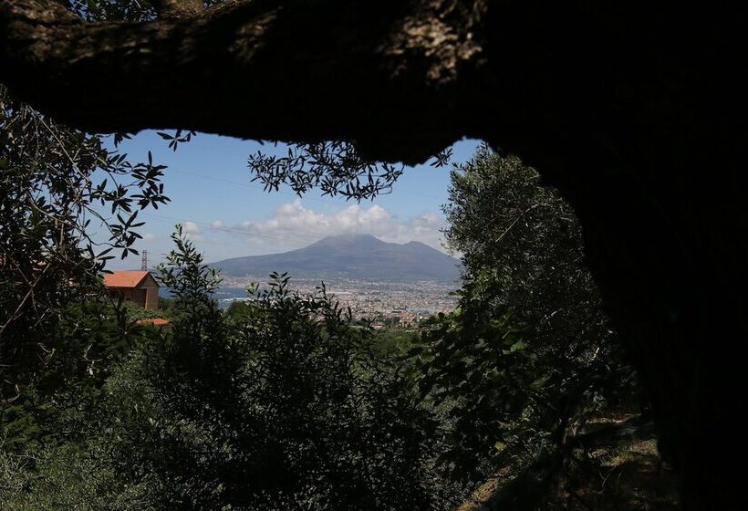 تختخواب و صبحانه Villa Catie