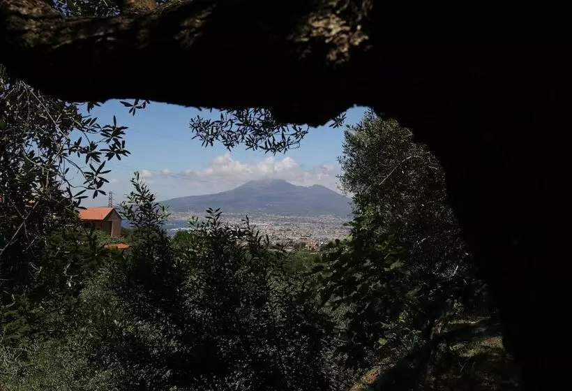 Aamiaismajoitus (B&B) Villa Catie