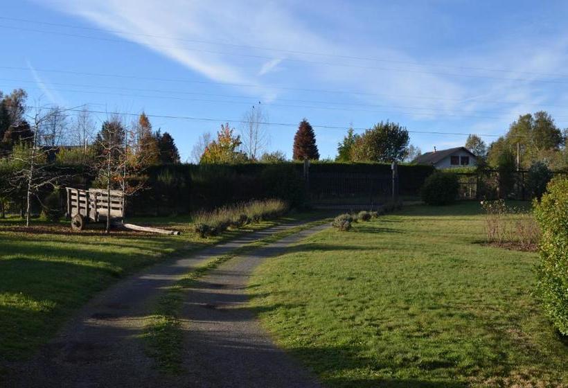 بنسيون Outrippers Pucón