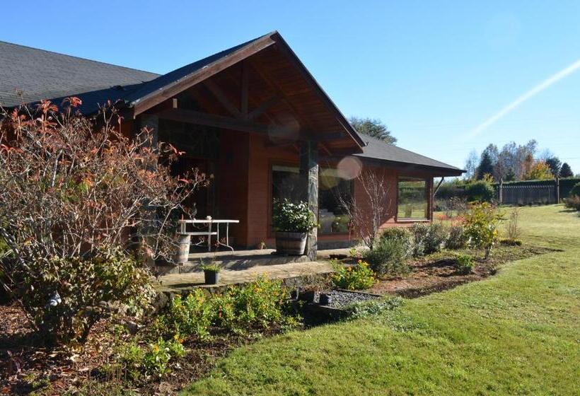 بنسيون Outrippers Pucón