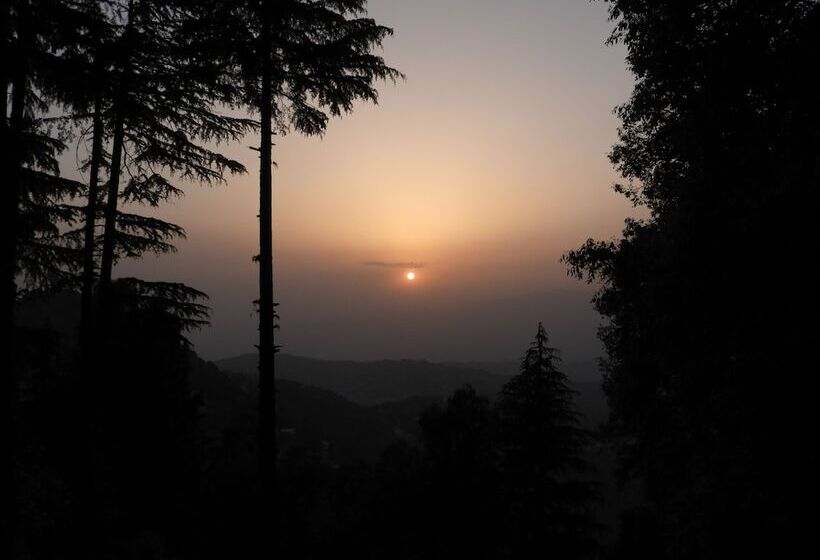 פנסיון Sandringham Hideout