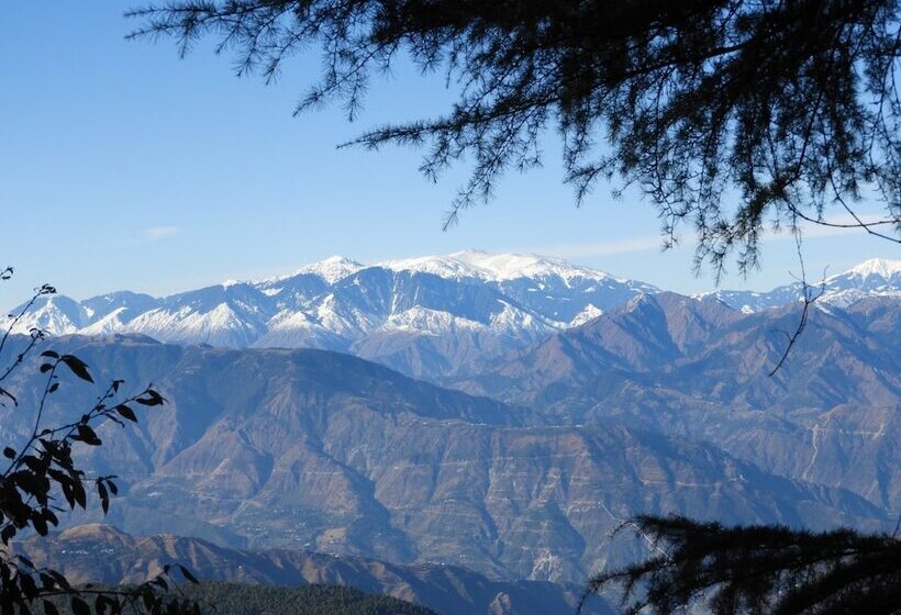 פנסיון Sandringham Hideout